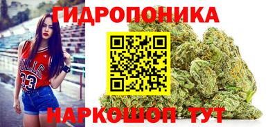 прущие крисы Ипатово
