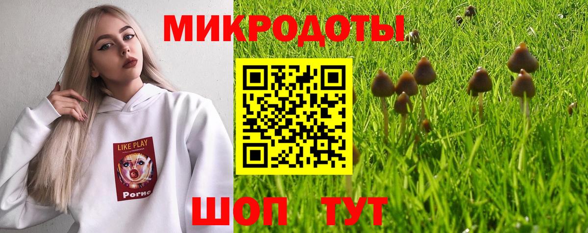 где купить наркоту  Галлюциногенные грибы Psilocybe  Вход с VPN  Стерлитамак 